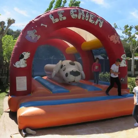 Camping Mobil Home, Animaux Admis - 5 Pers. - Api-1-52-2609 *